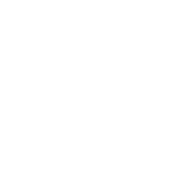 FLY Logo